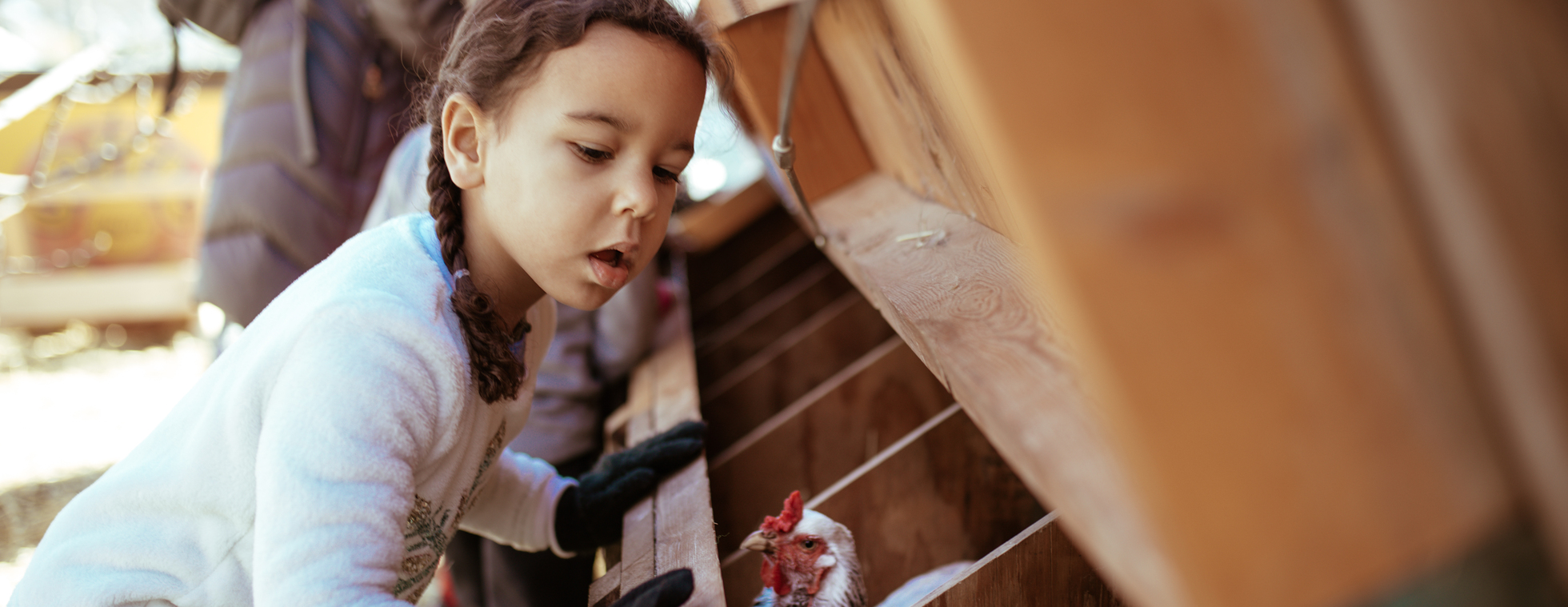 Estate Planning: Fall Workshop